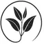 981 Tea Shop logo