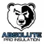 Absolute Pro Insulation logo