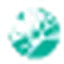 Academy of Cosmetology logo