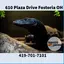 Back Road Reptiles and Exotics logo