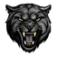 Black Panther Sports Cards logo