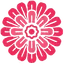 Bloom & Bottle logo