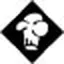 Borinquen Kombucha logo
