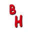 Burrito House logo