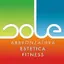 Centro Sole logo