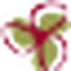 Clover Salon logo