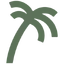 Coco Surf Resort logo
