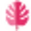 Danse Cadix logo