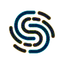 Datasapiens S.R.L. logo