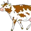 De Regte Heijden logo