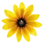 Der Essenzenladen logo