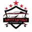Dirty Details Interior Spa logo