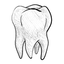 Dr. Kiyan Mehdizadeh logo