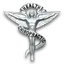 Dr. Tara Bisogna - chiropratica logo