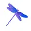 Dragonfly River Wellness logo