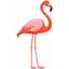 Flamingo Rides logo