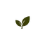 Green Skin Boutique logo