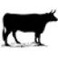 Hof Backhus Beef & More logo