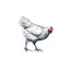 Home Farm Produce logo