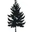 JSK Tree Care logo