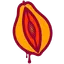 Juicy Papaya - Surfboards and Apparel logo