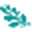 La casa di Duilia logo