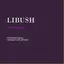 LiBush International Connection Africa logo