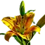Lyssup International logo