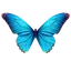 Metamorfinca logo