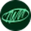 Mojo Institut für Regenerationsmedizin logo