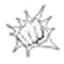 MP Bodega logo