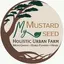 My Mustard Seed logo