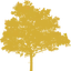 Oak Loans logo