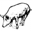 Old Major logo