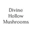 Our Divine Hollow Farm Stand logo