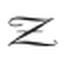 Photo Vision Zumstein logo
