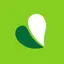 Pure Green - Juice Bar Deerfield logo