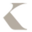 Salone Niko logo