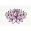 Serene Vitality logo