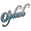 Splash Detailing logo