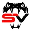 Stars Vipers Cheer & Tumbling logo