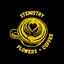 Stemistry logo