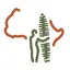 Surf camp logo