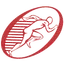 Tampa Sports & Wellness Chiropractic logo