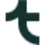 Tegtmeier Internet Solutions logo