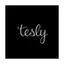 teslify logo