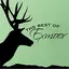 The Best of Exmoor logo