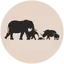 The Bitcoin for Wildlife Conservation Project logo