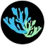 The Coral Zoo logo