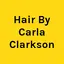 The Link Studios Hair & Beauty Supply logo